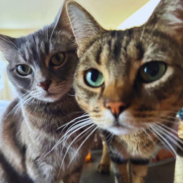 Akiko and Kevin