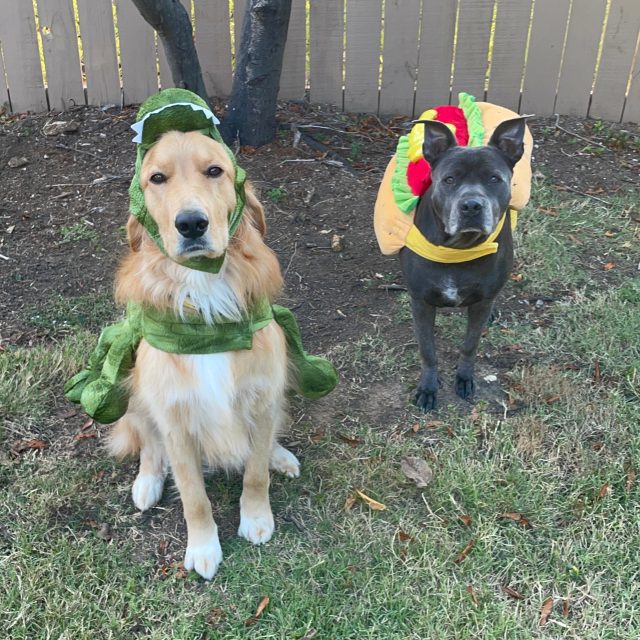 Alex and Alex